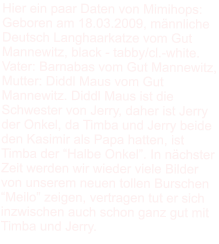 Hier ein paar Daten von Mimihops: Geboren am 18.03.2009, männliche Deutsch Langhaarkatze vom Gut Mannewitz, black - tabby/cl.-white. Vater: Barnabas vom Gut Mannewitz, Mutter: Diddl Maus vom Gut Mannewitz. Diddl Maus ist die Schwester von Jerry, daher ist Jerry der Onkel, da Timba und Jerry beide den Kasimir als Papa hatten, ist Timba der “Halbe Onkel”. In nächster Zeit werden wir wieder viele Bilder von unserem neuen tollen Burschen “Meilo” zeigen, vertragen tut er sich inzwischen auch schon ganz gut mit Timba und Jerry.